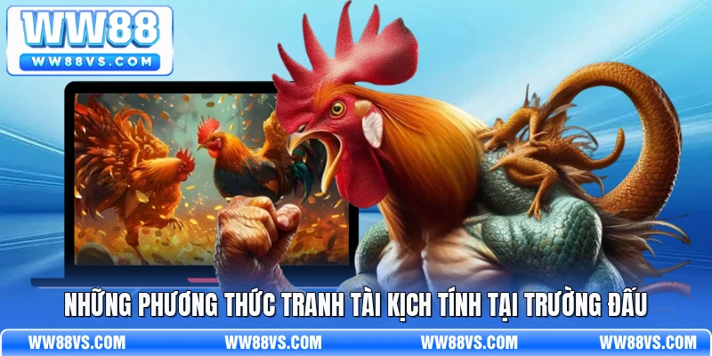 Những phương thức tranh tài kịch tính tại trường đấu