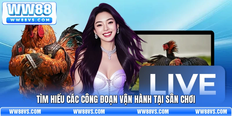 Tìm hiểu các công đoạn vận hành tại sân chơi